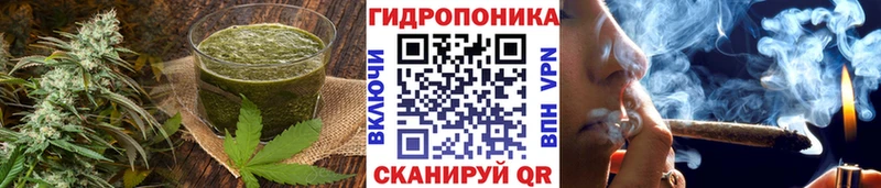 магазин продажи наркотиков  Шилка  нарко площадка состав  Canna-Cookies конопля 