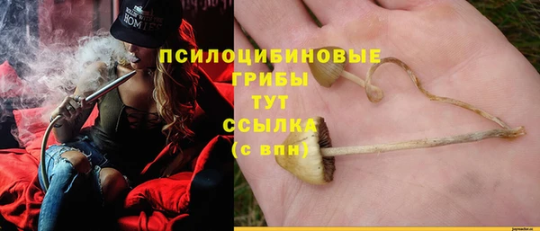 каннабис Алексеевка