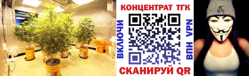 ТГК жижа  Шилка 